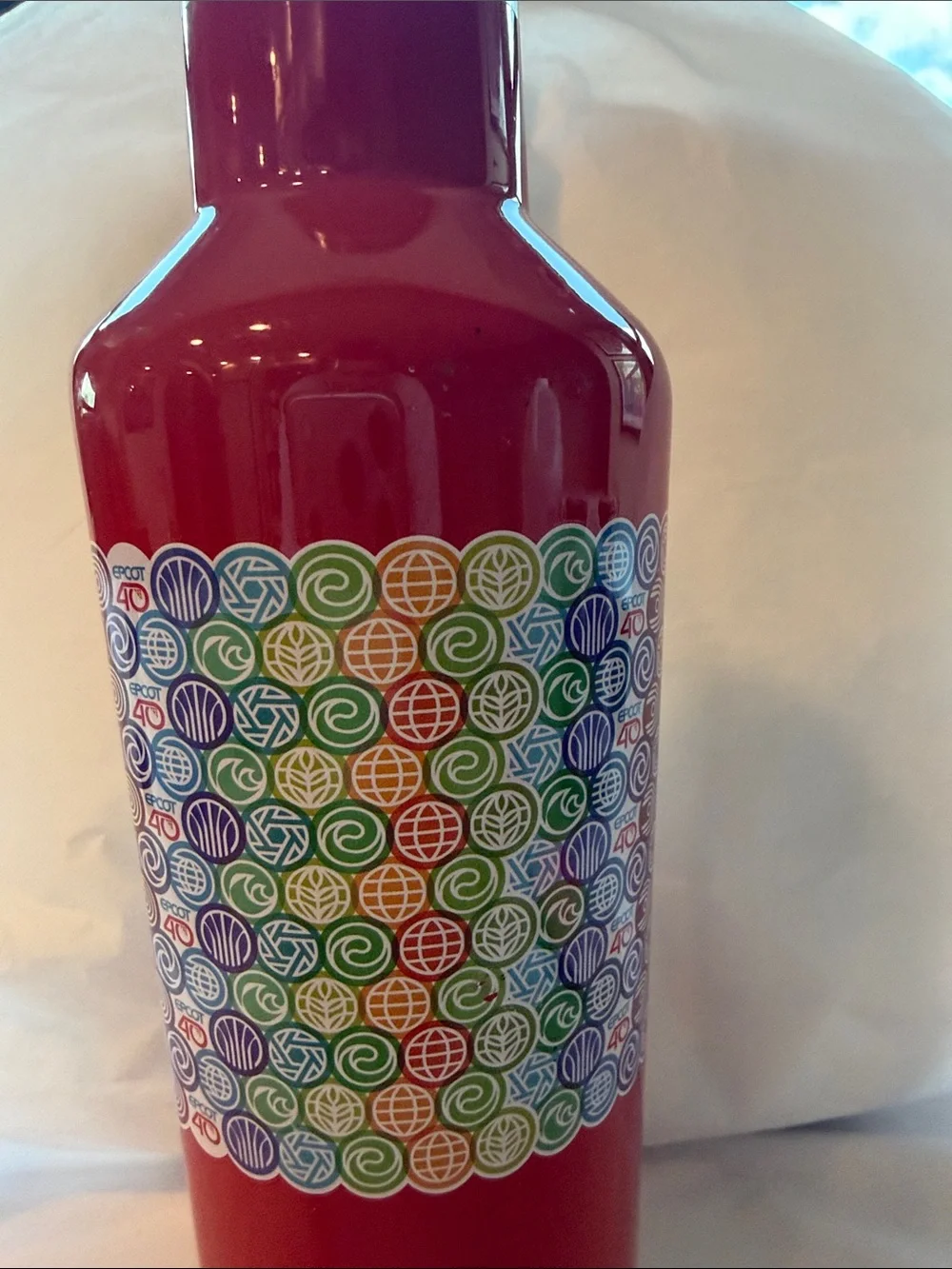 Disney corkcicle stainless